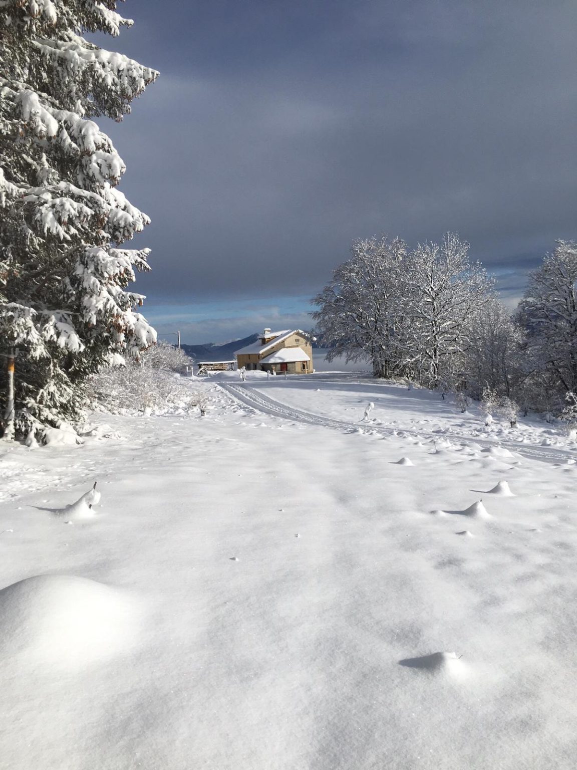 Refuge sous la neige