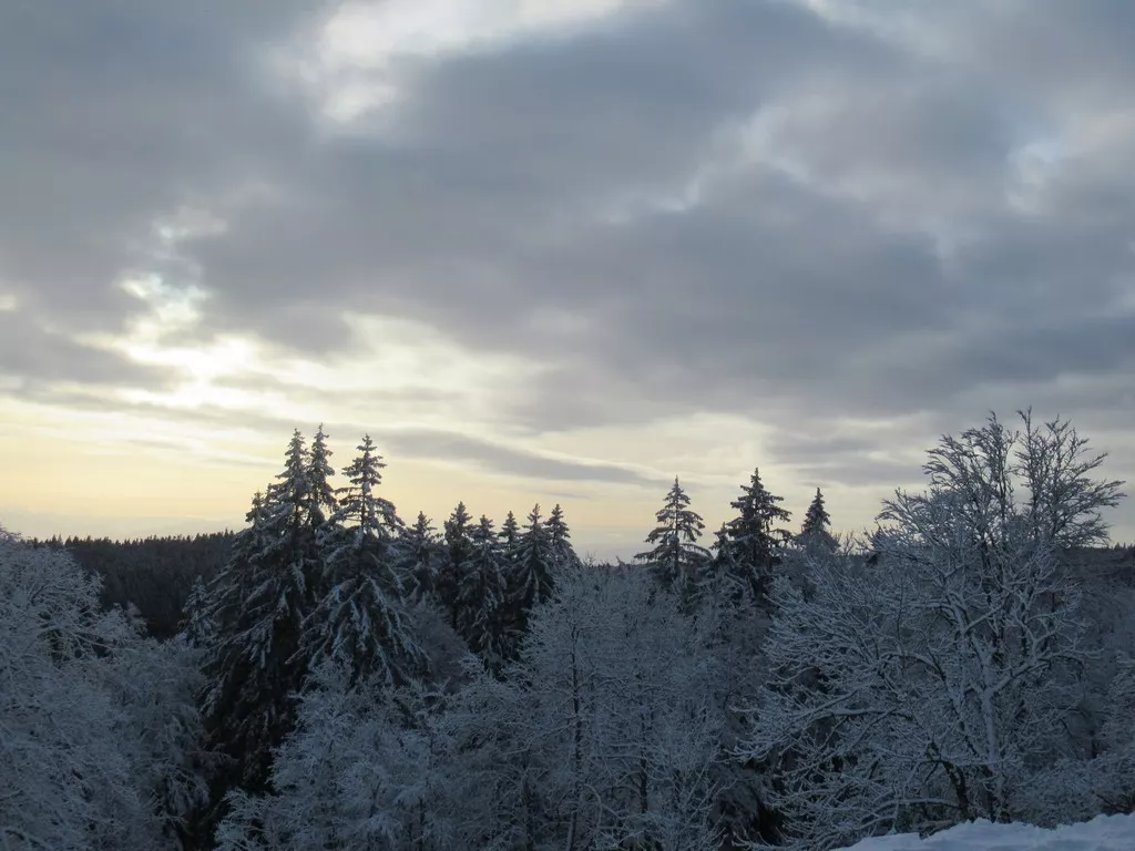 Préparation Nouvel An