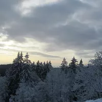 Préparation Nouvel An