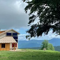 Refuge article de test